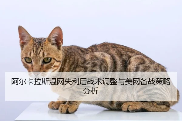 a-er-ka-la-si-wen-wang-shi-li-hou-zhan-shu-tiao-zheng-yu-mei-wang-bei-zhan-ce-lve-fen-xi-2-424.jpg